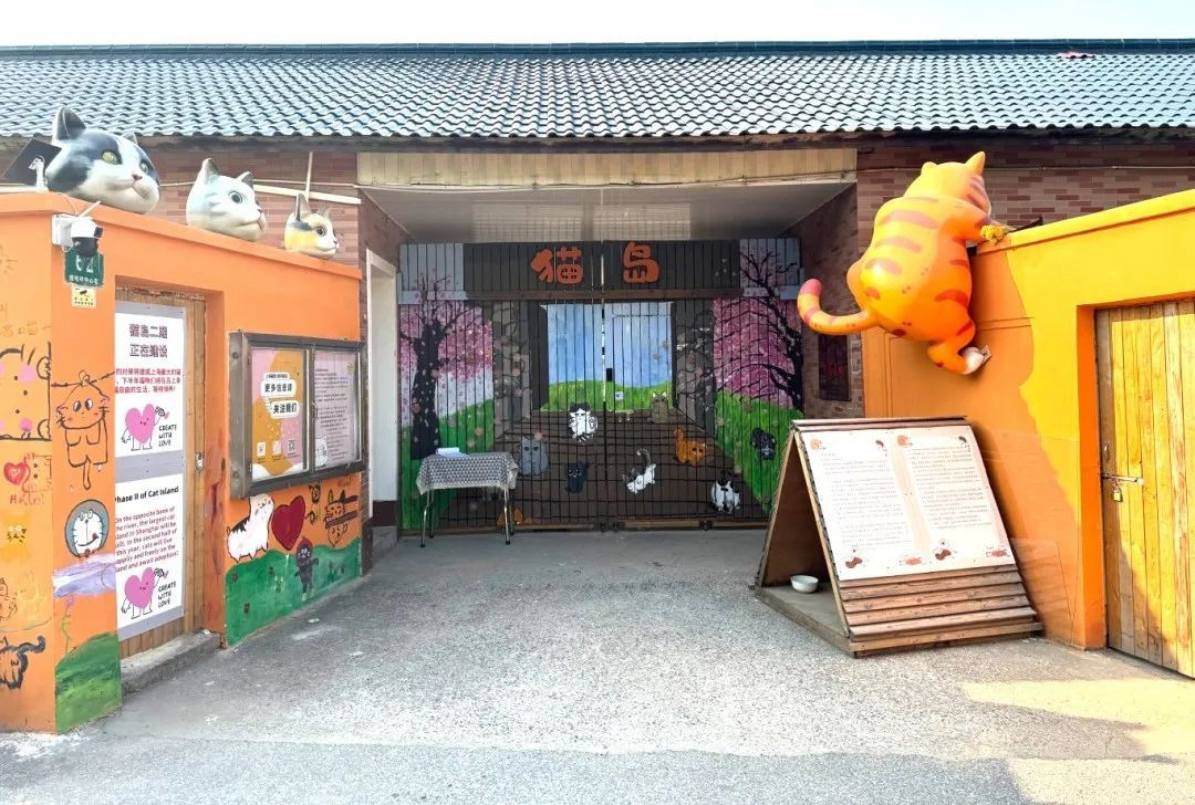 길고양이 커뮤니티에서 바라본 상하이의 도시 온도