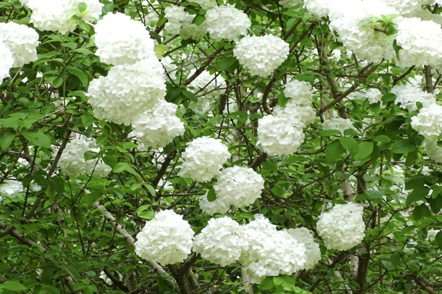 4.png 4.png