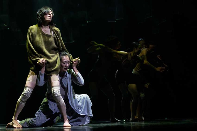 무용극 '채식주의자'는 한강의 작품 속 여성 우화를 어떻게 해석했을까?